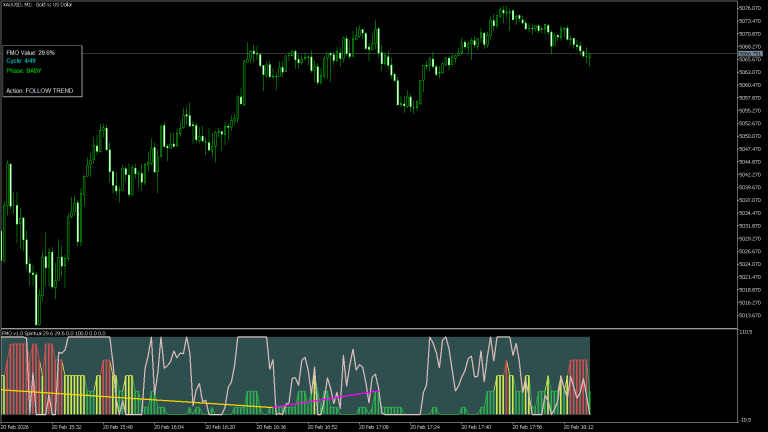 Fractal Maturity Oscillator FMO