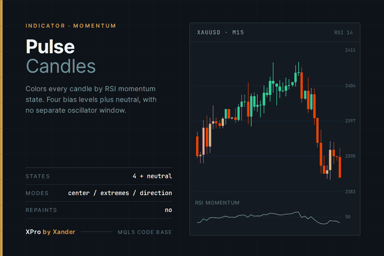 XANDER Pulse Candles