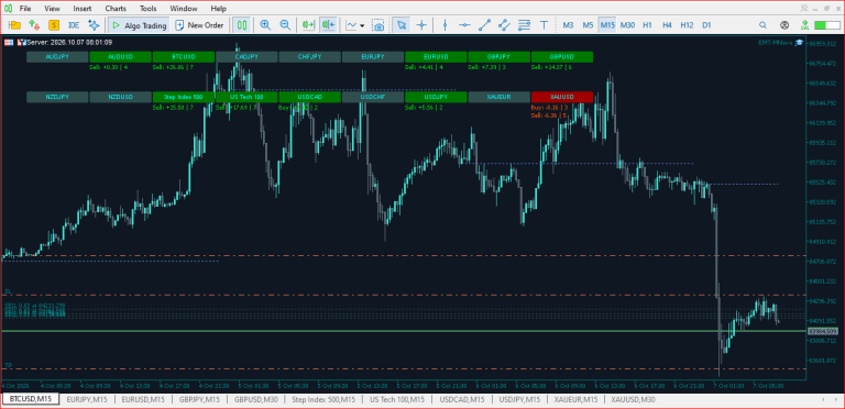 MT5 Symbol Changer Profit Display