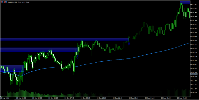 Momentum Vwap Barrier Breakout / BhanuCodeLab