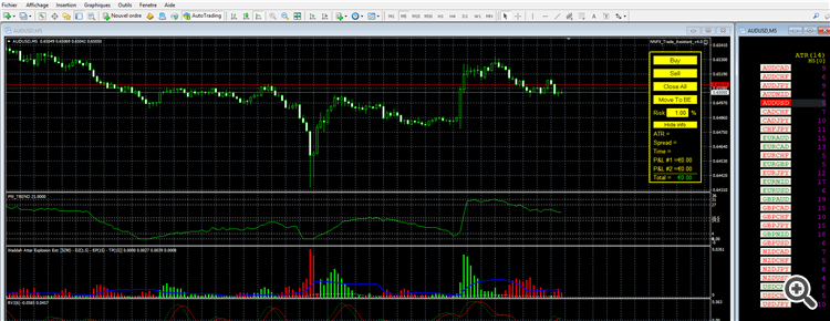 Overview of my trading winfdow
